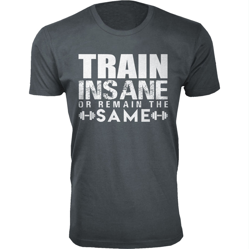 Men's Train Insane or Remain The Same Workout T-shirts