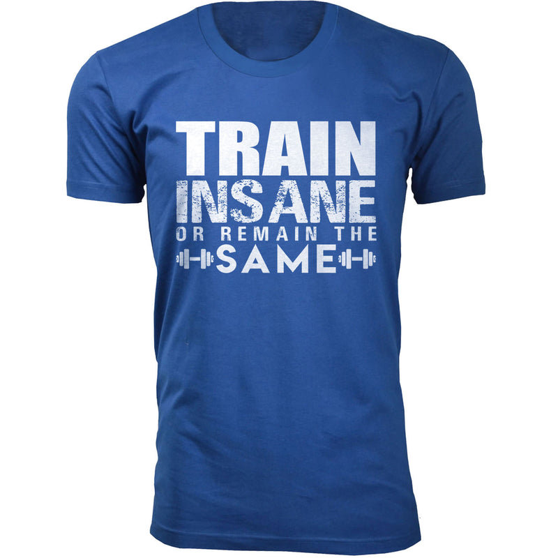 Men's Train Insane or Remain The Same Workout T-shirts