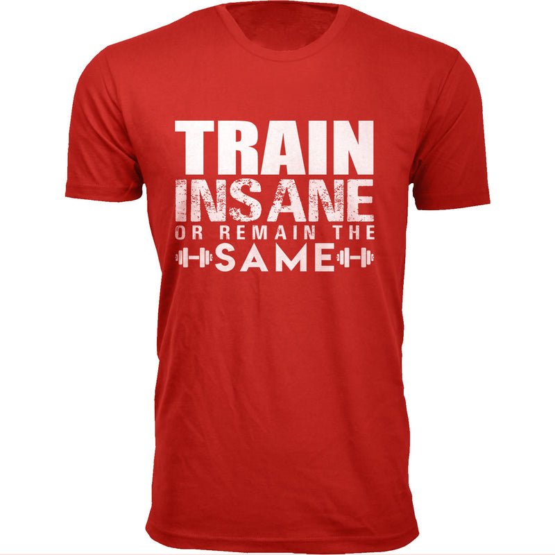 Men's Train Insane or Remain The Same Workout T-shirts