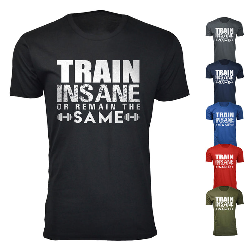 Men's Train Insane or Remain The Same Workout T-shirts