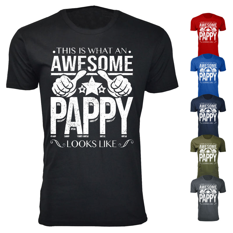 Men's This is What An Awesome PAPPY Looks Like T-shirts